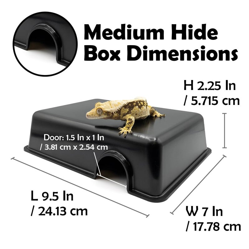 Pangea Reptile Hide Box (C- Medium), Black - Image 2
